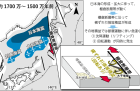 日本海拡大の際に伴った棚倉断層帯の運動が盆地の形成・沈降・回転を引き起こしたイメージ図