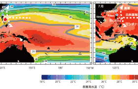 サンゴ骨格試料採取位置（赤い星印）周辺の1月と7月の表層海水温分布（1981-2010年の平均値）。