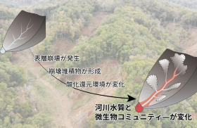 山地流域における表層崩壊、河川水質、微生物コミュニティーの関係