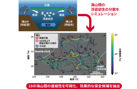 浮遊幼生の分散シミュレーションによる、18の海山間の連結性の可視化