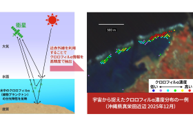 近赤外域のハイパースペクトルデータを活用することで、複雑な沿岸環境からクロロフィルα濃度の推定に成功