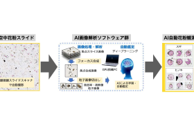 「AI自動花粉同定システム」の概要