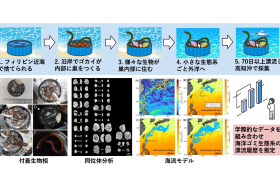 本研究の概要