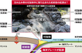 本研究の概要