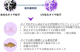 概要図
