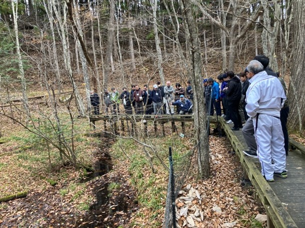 シカ柵　ミズバショウ