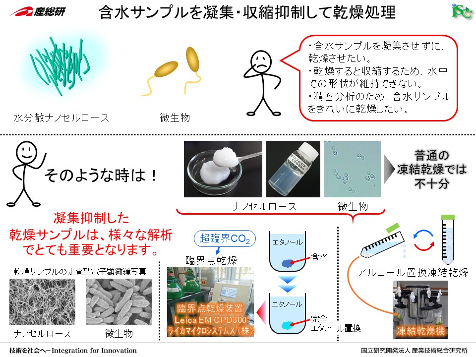Z[XޗO[v@imZ[X@Z[Ximt@Co[@CNF ܐTvÏWEk}Ċ 