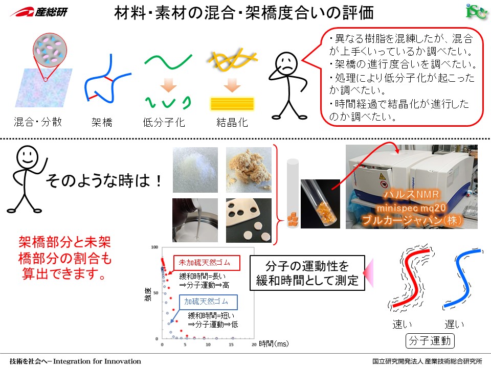 Z[XޗO[v@imZ[X@Z[Ximt@Co[@CNF ޗEfނ̍Eˋx̕] 