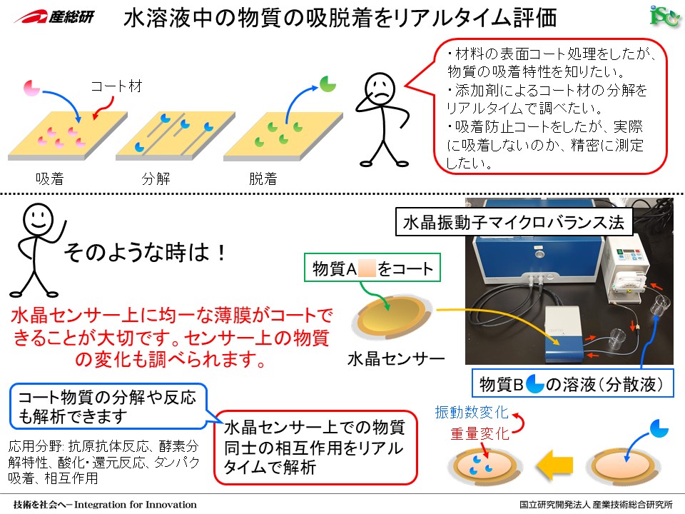 Z[XޗO[v@imZ[X@Z[Ximt@Co[@CNF nt̋̕zEA^C] 