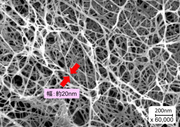 ナノセルロースの高分解能SEM（FE-SEM）写真
