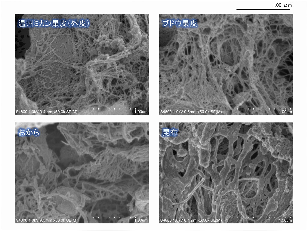 可食性ナノセルロース