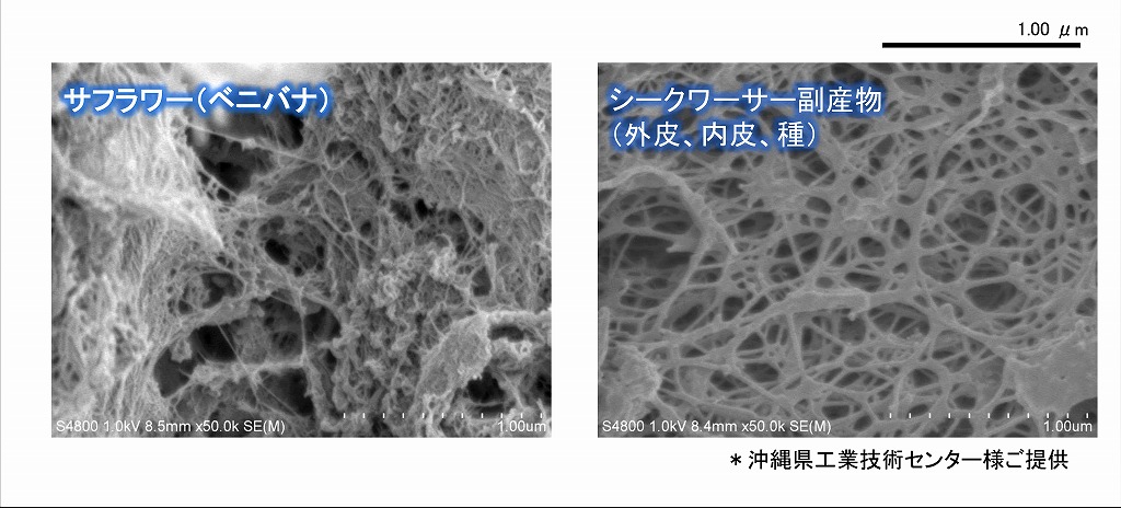 可食性ナノセルロース