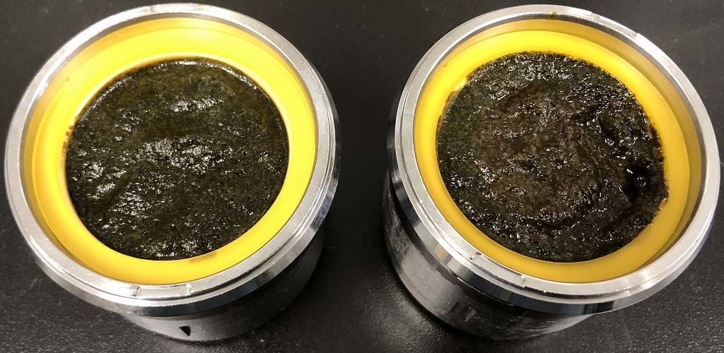 しそ　シソ　シソ