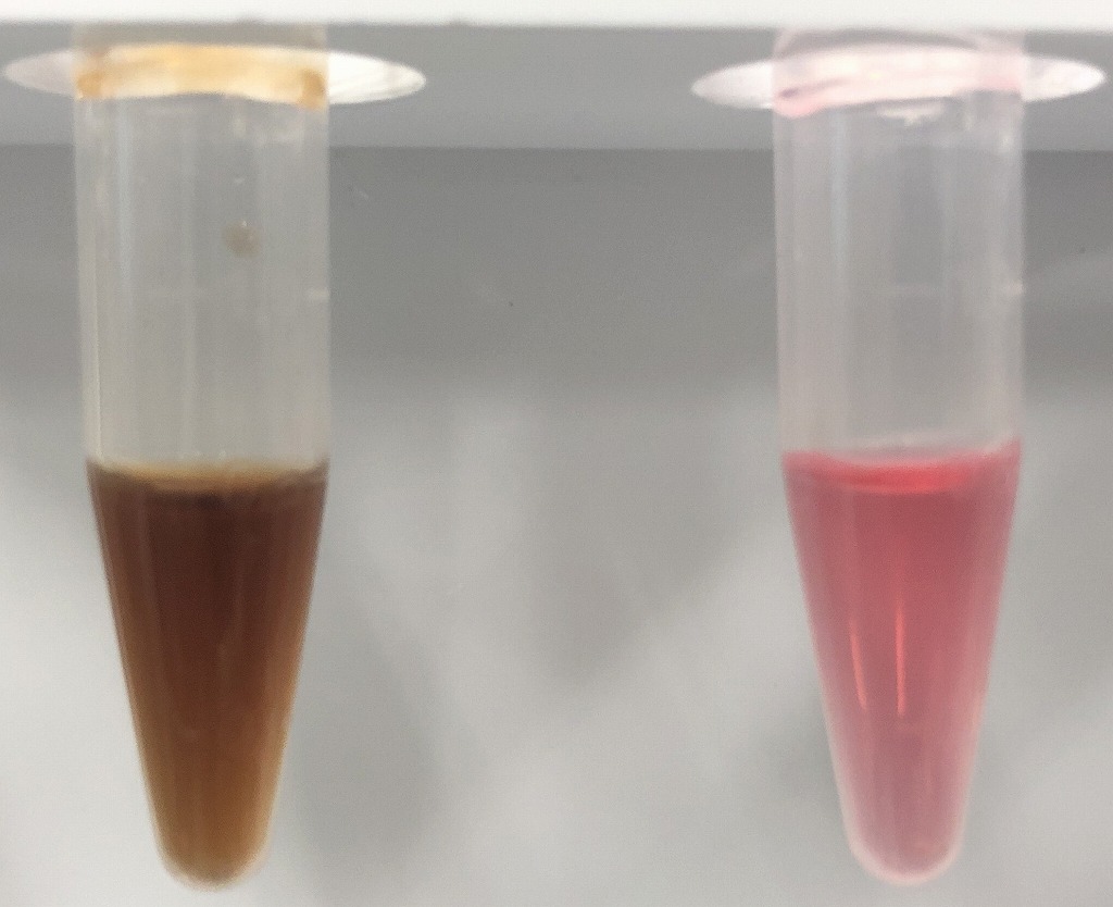 シソ　紫蘇　しそ　シソジュース　しそジュース