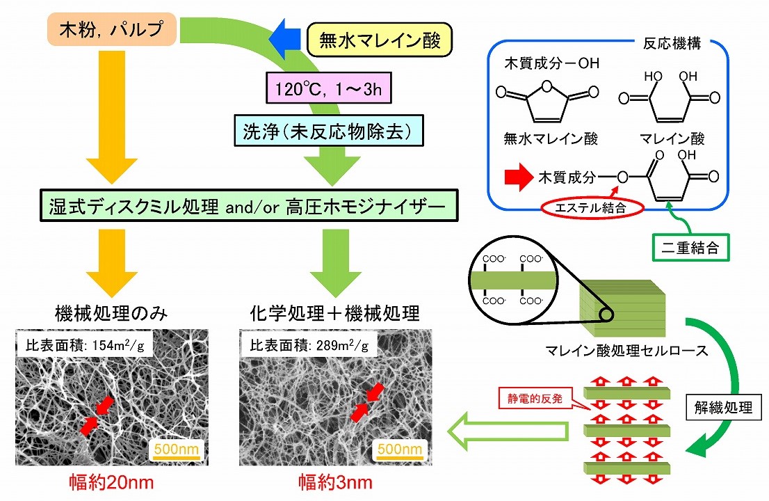 マレイン酸グラフト化によるシングルセルロースナノファイバー製造技術