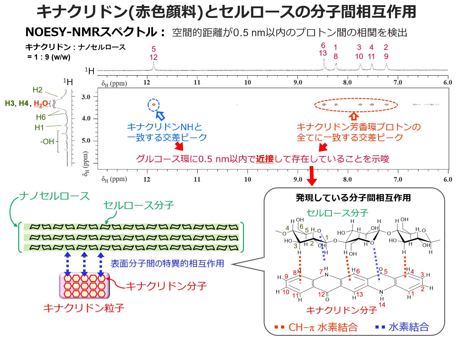 ナノセルロースとキナクリドン(赤色顔料)のCH-π(パイ)相互作用