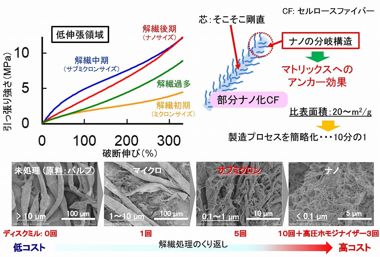 部分ナノ化セルロースファイバーによるゴム補強
