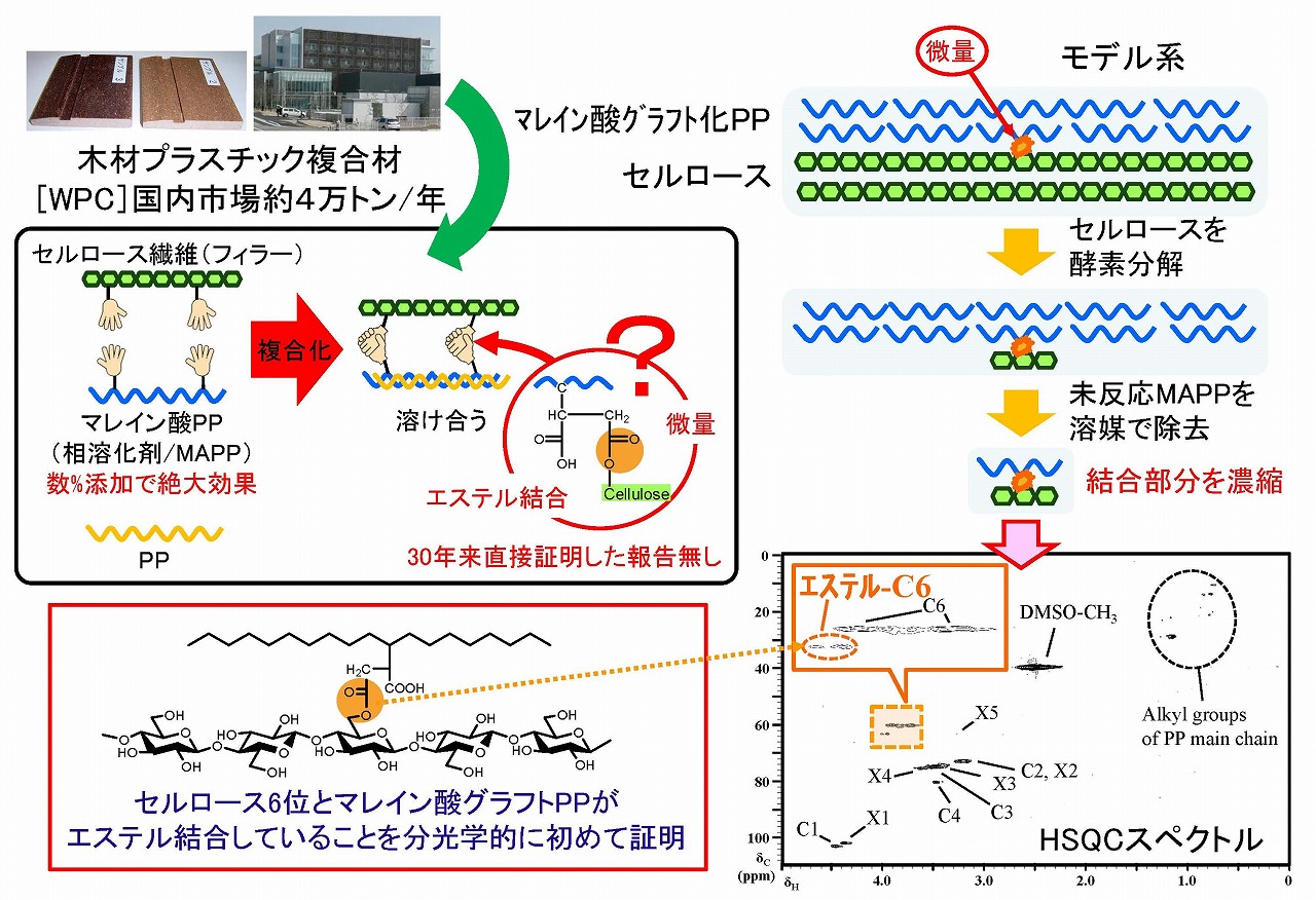 部分ナノ化セルロースファイバーによるゴム補強