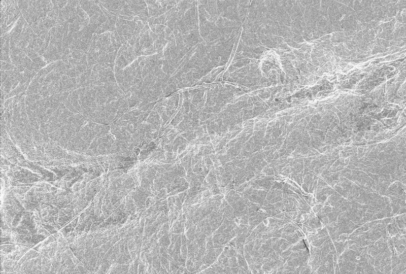 ナノセルロース強化ぽい紙表面のSEM写真