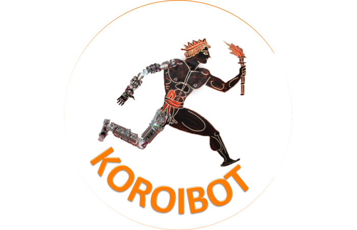 KoroiBot - Improving humanoid walking capabilities by human-inspired mathematical models, optimization and learning
