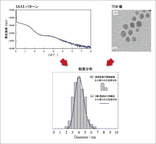 SAXS パターンと TEM 像との比較