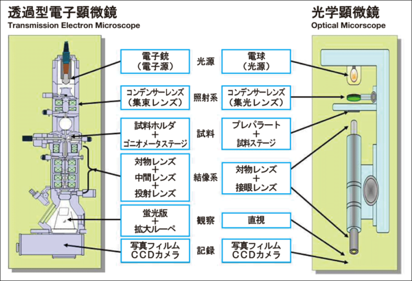 透過型電子顕微鏡と光学顕微鏡の比較