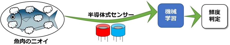 図:魚肉のニオイを測定し機械学習で鮮度を判定、リンク先は産総研WEBの詳細解説ページ