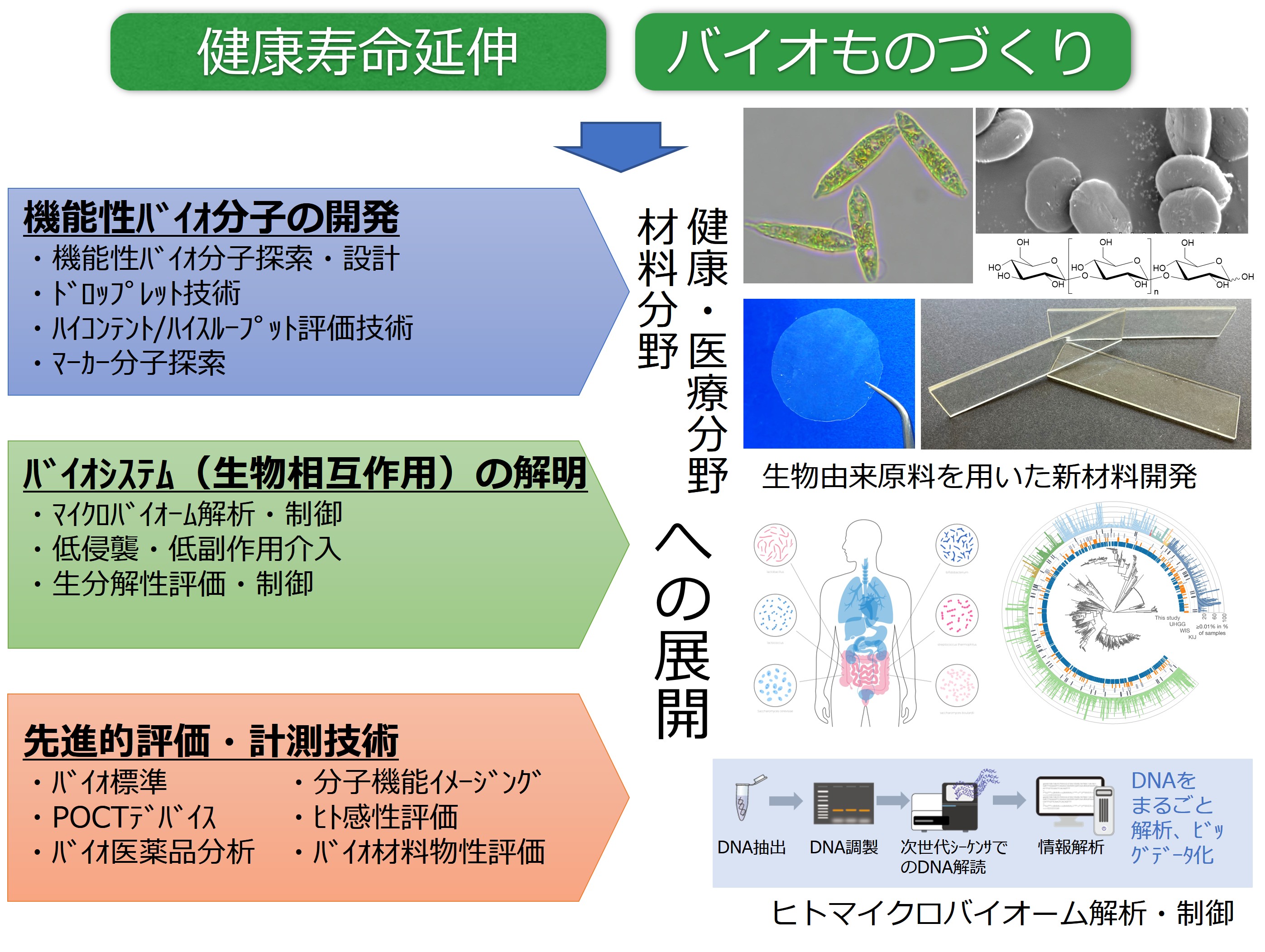 モレキュラーバイオシステムRI研究戦略 モレキュラーバイオシステムRI研究戦略