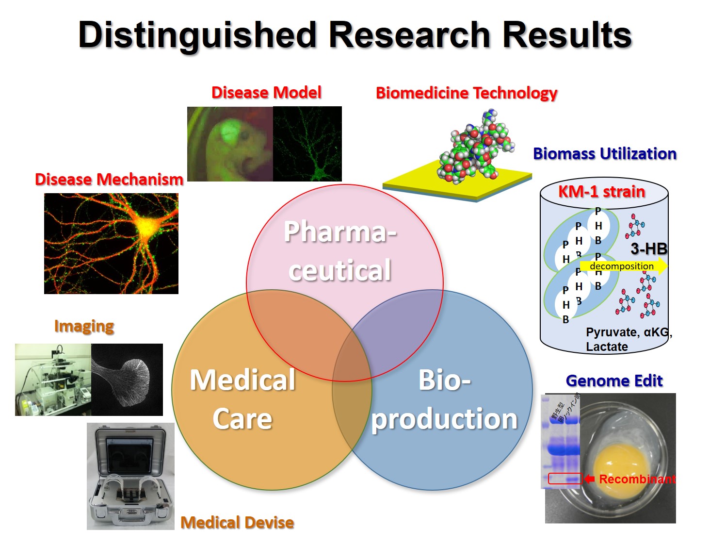 Distinguished Research Results
