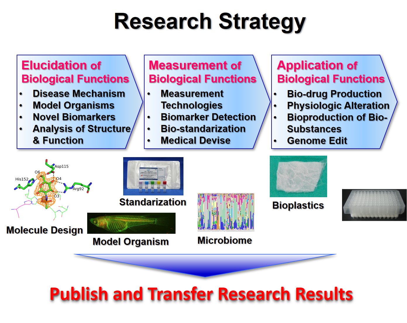 Research Strategy
