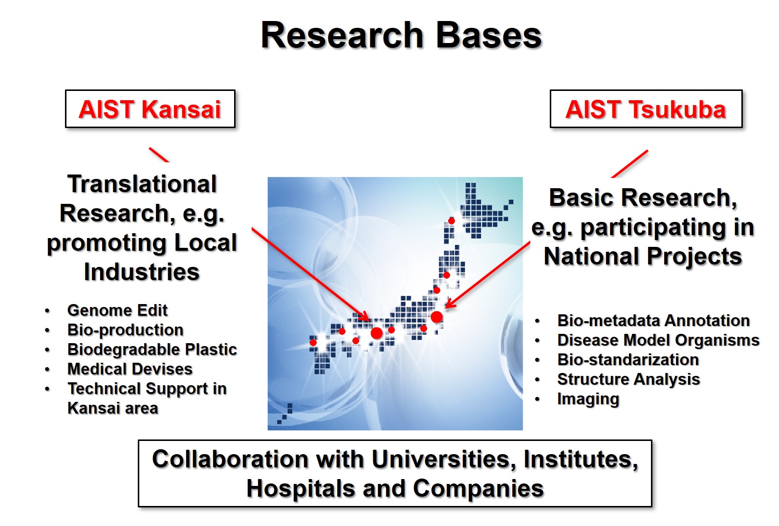 Research Bases