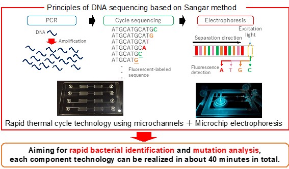 Development of a Rapid DNA Sequencer for Rapid Microbial Identification