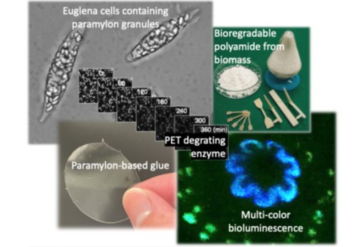 Lead Biomolecule Research Group