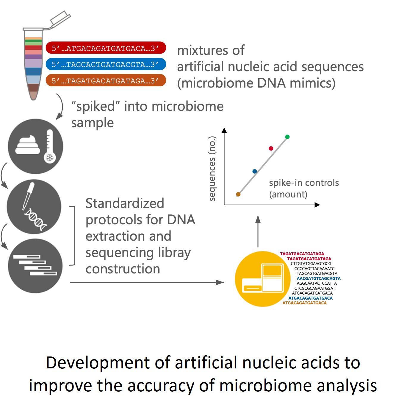Development of artificial nucleic acids to improve the accuracy of microbiome analysis