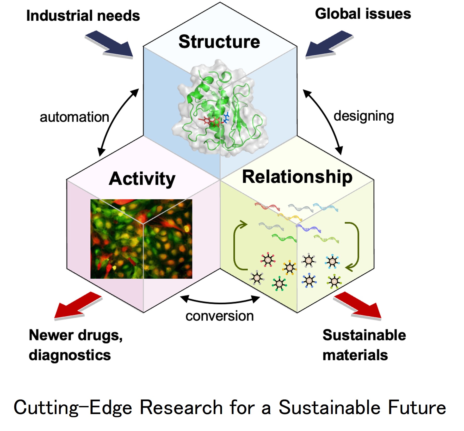 Cutting-Edge Research for a Sustainable Future
