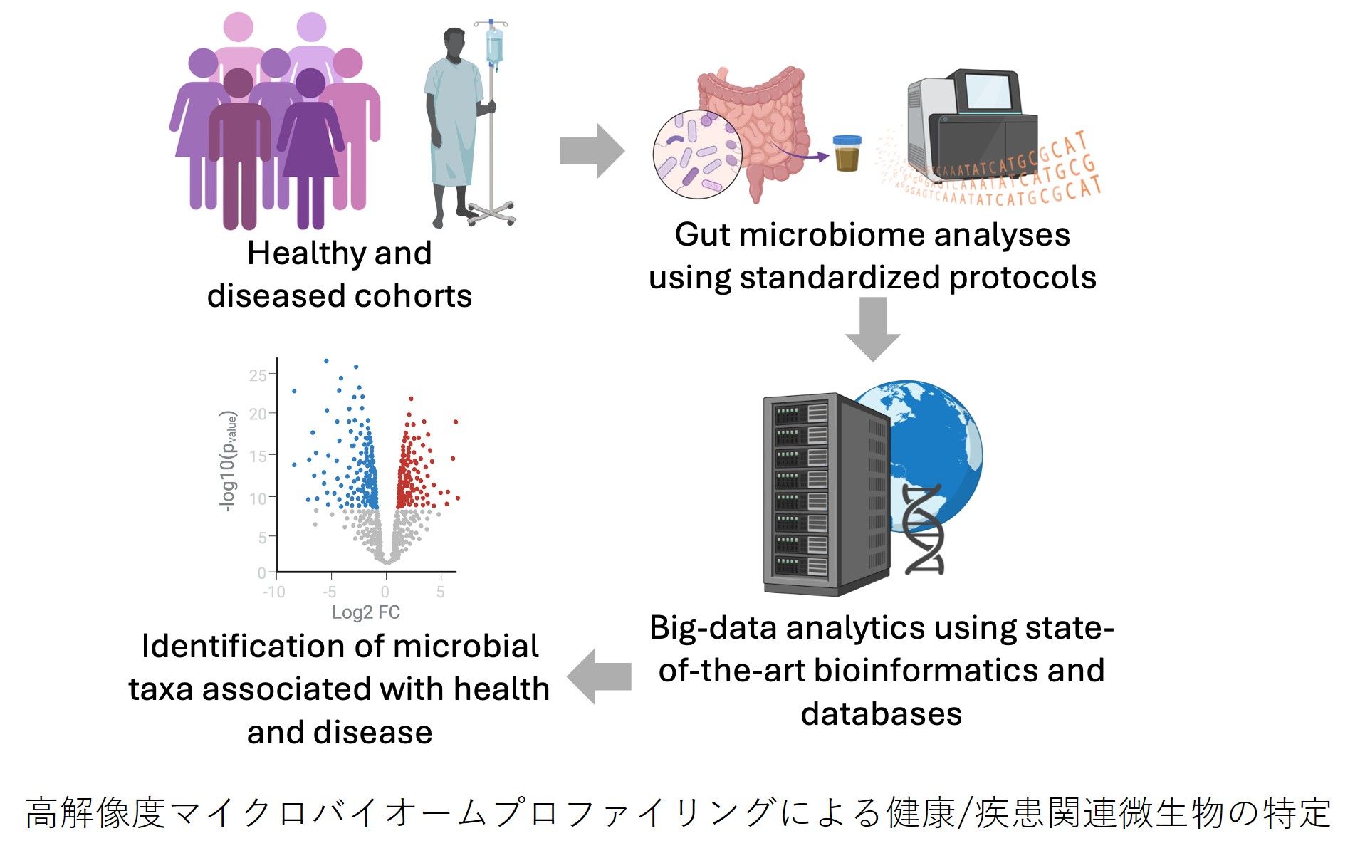 高解像度マイクロバイオームプロファイリングによる健康/疾患関連微生物の特定