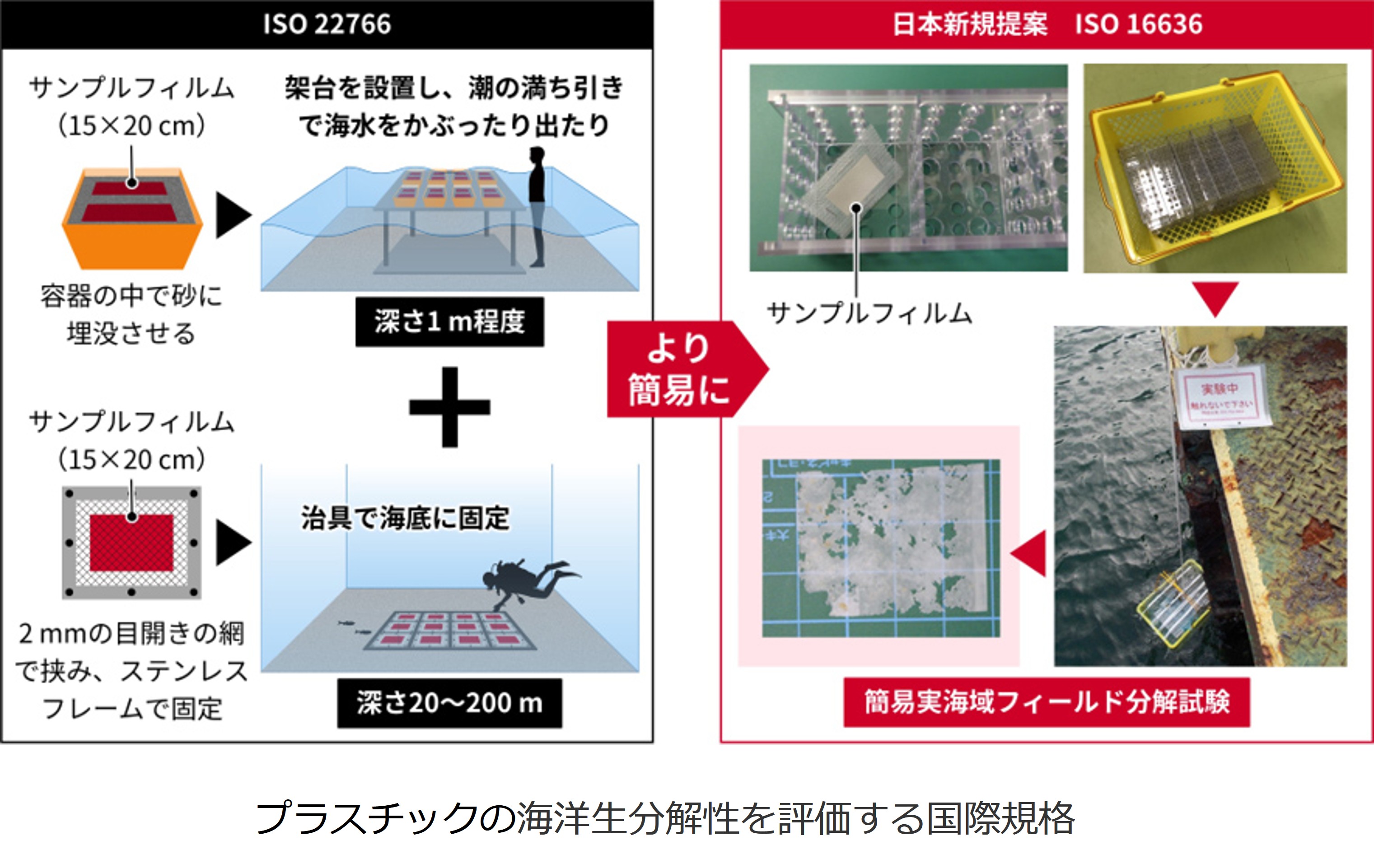 2025年5月12日プレスリリース図