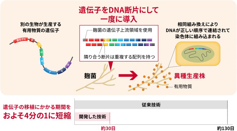2026年5月28日プレスリリース図 2026年5月28日プレスリリース図