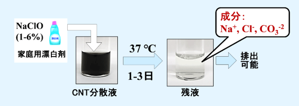 20190204