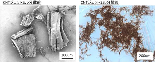 単層CNTの分散の様子
