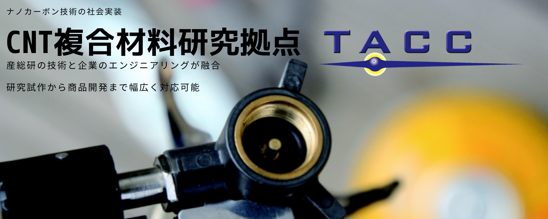 TACC画像