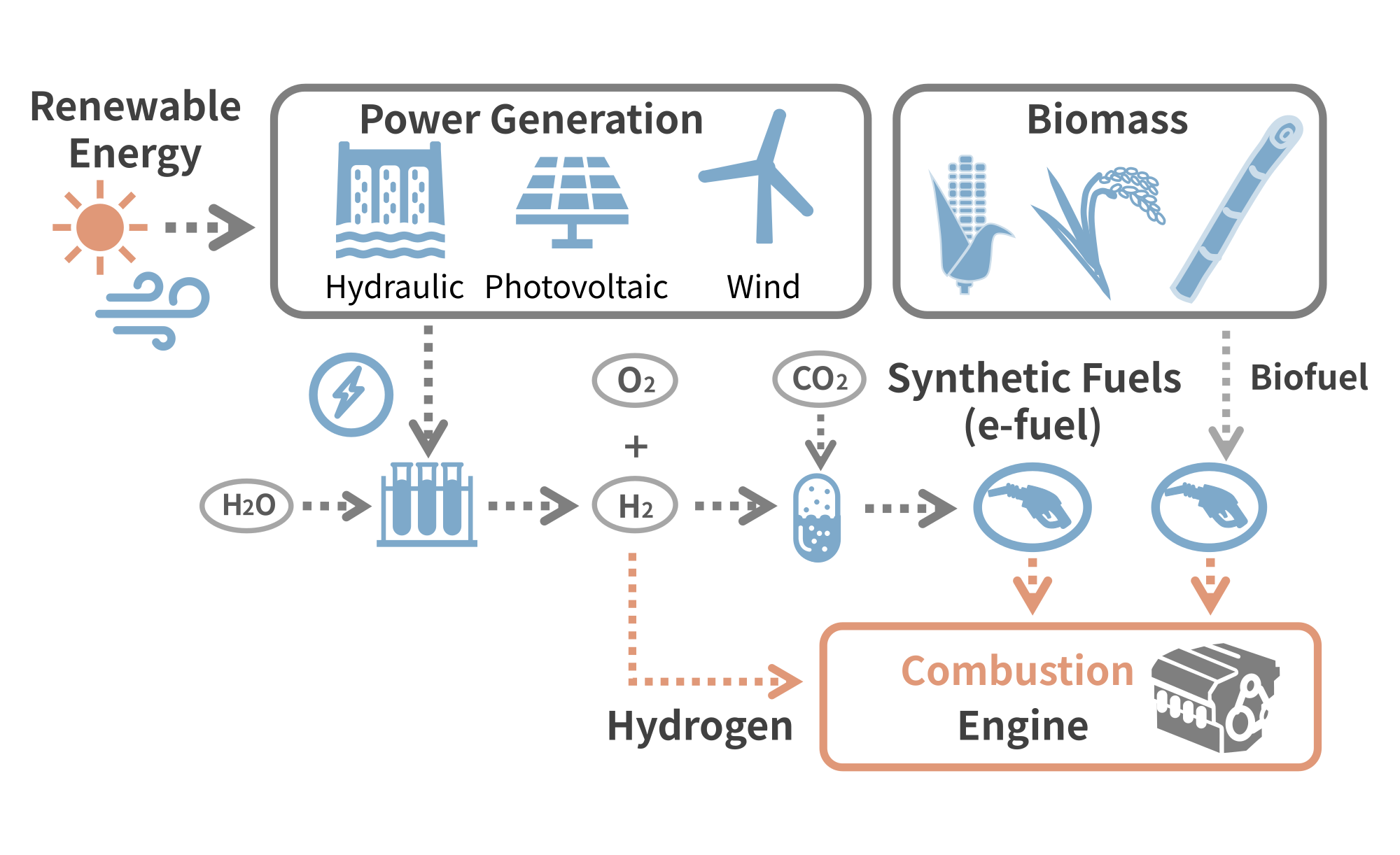Effective Utilization of Renewable and Biomass-Derived Carbon-Neutral Fuels