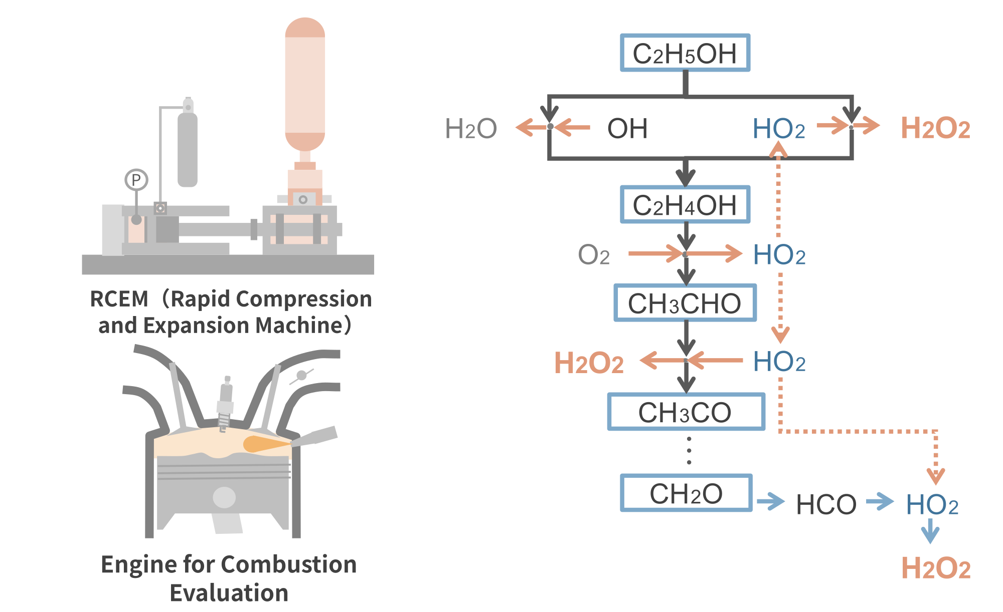 Experimental Setup and Chmical Reaction Analysis