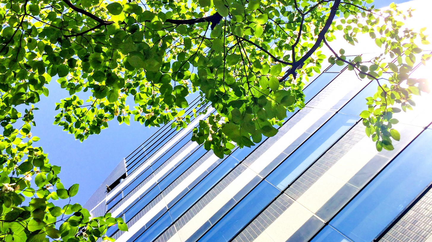 事務局イメージ