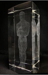 Design Award trophy