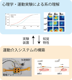運動介入による人間機械感覚運動統合
