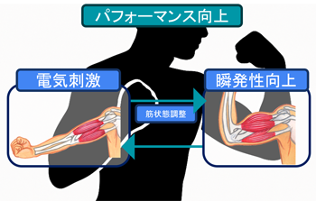 適応的筋コンディショニングによる運動能力向上