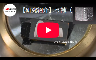 う蝕（むし歯）をナノスケールまで観察・分析