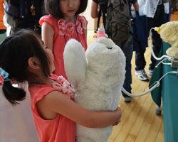 アザラシ型ロボット パロとあそぼうイメージ写真