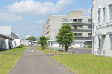 青空の下、産総研構内の建物と通路が広がる風景